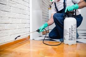 Best Fumigation Services  in Fort Dick, CA